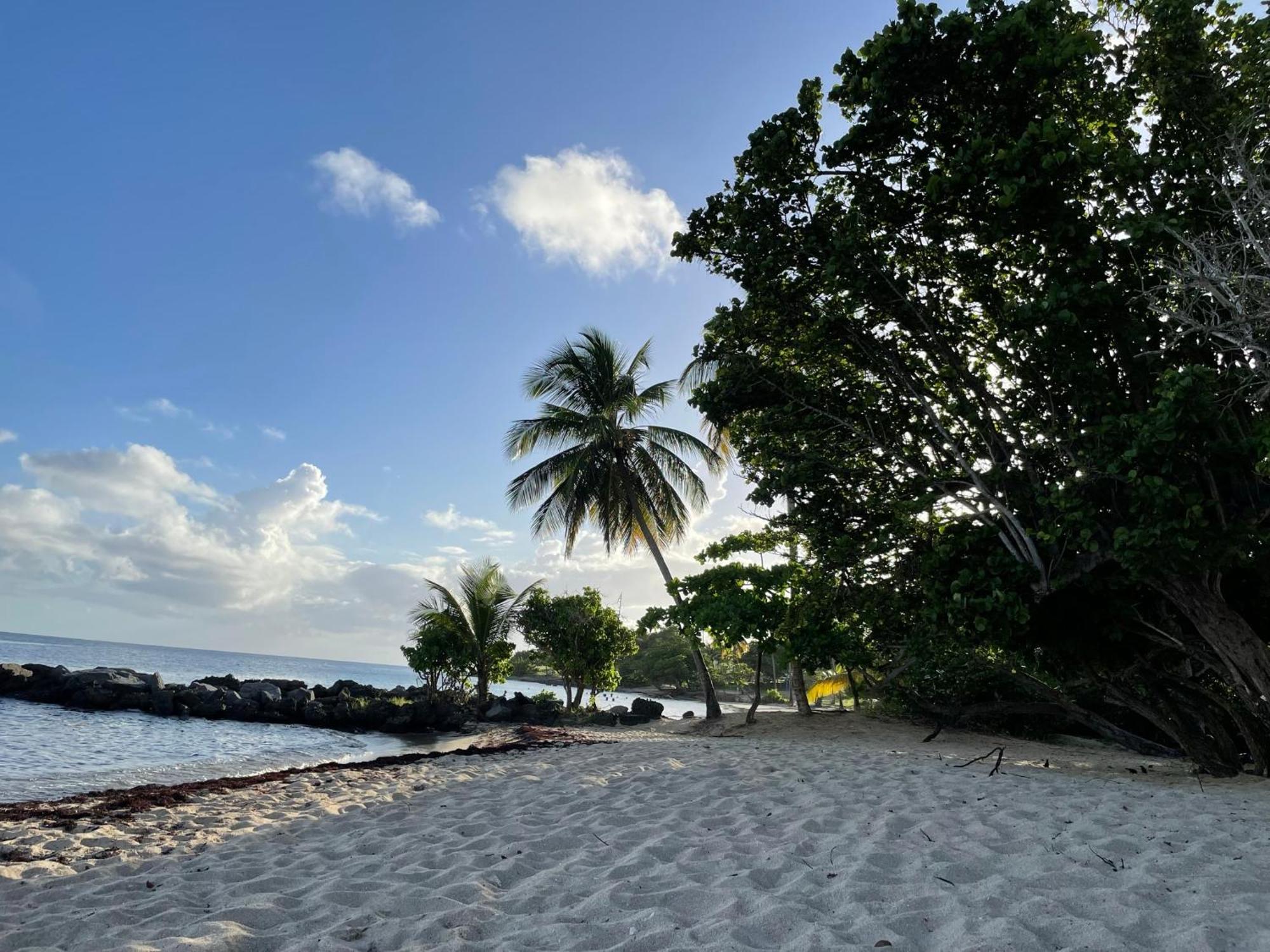 Villa Caraibes Сент-Люс Экстерьер фото